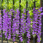 Artificial Wisteria Vine Garland 12pcs 3.6ft | Wedding Arch Garden Home & Party Decor in White Purple Pink Blue 7 Colors