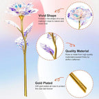 Galaxy crystal rose set size reference – 10 20 30pcs forever rose gift for her