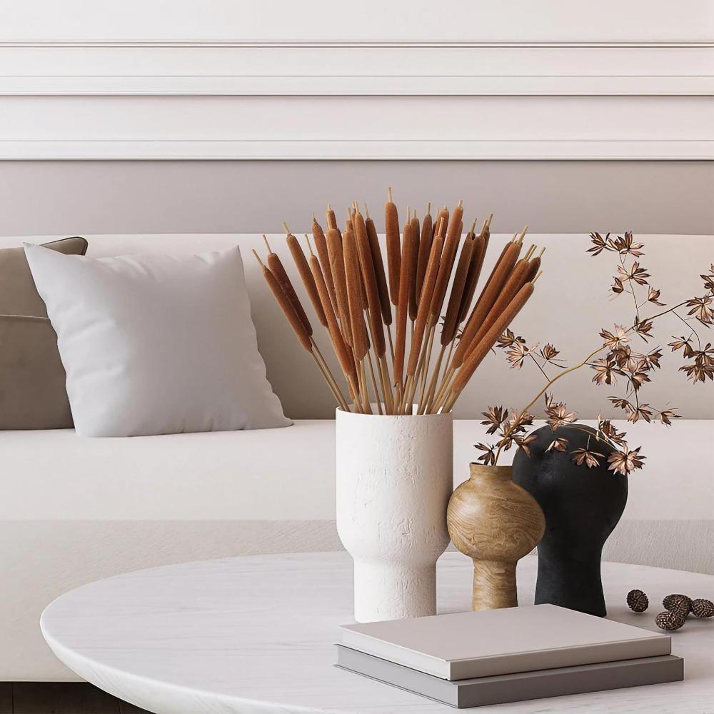 Dried Natural Brown Cattail Stems Bundle 10pcs | Real Bulrush for DIY Floral Wedding Rustic Boho Home Decor