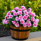 Outdoor Artificial Camellia Plants Set of 6 | Weather-Resistant Decorative Flowers for Porch Patio Garden & Entryway in White Pink Red Yellow