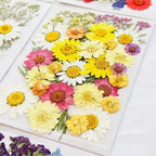 Pressed flower botanicals for resin casting and jewelry making