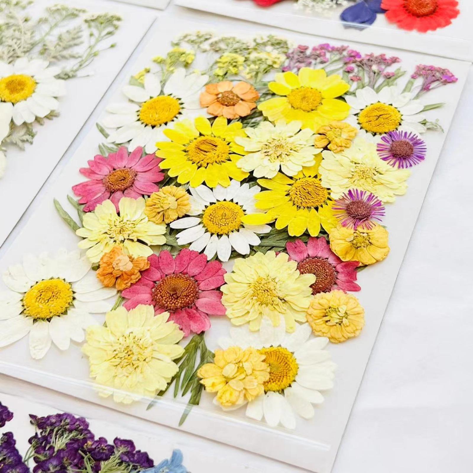 Pressed flower botanicals for resin casting and jewelry making