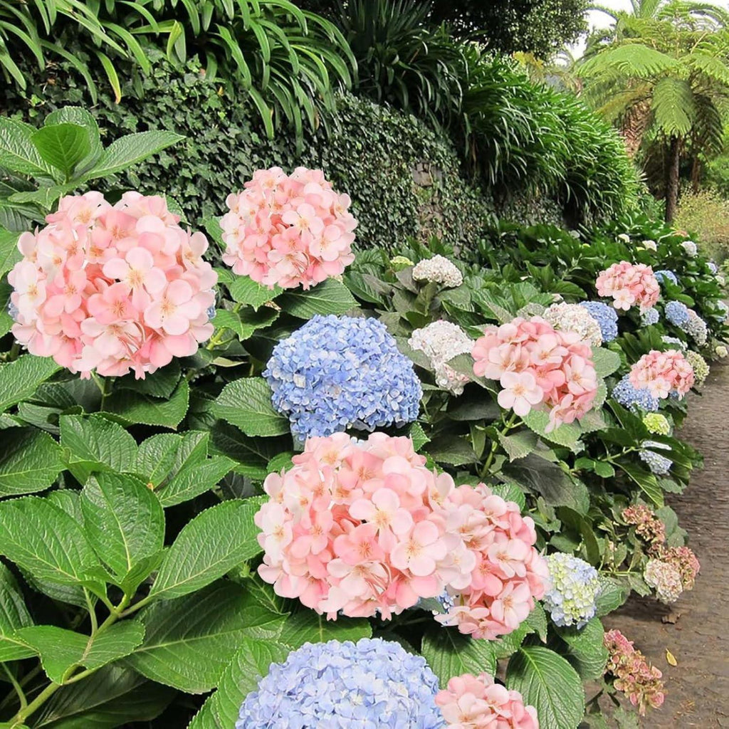 Artificial Hydrangea Bouquet 4 Packs 28 Stems | Wedding Centerpiece Baby Shower Home & Party Decor in Blue Pink Red White Champagne