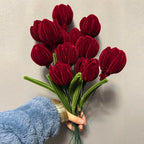 10PCS Pipe Cleaner Chenille Stems DIY Set | Fuzzy Sticks for Flower Crafts Classroom Mother's Day in 4 Colors