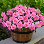 Outdoor Artificial Camellia Plants Set of 6 | Weather-Resistant Decorative Flowers for Porch Patio Garden & Entryway in White Pink Red Yellow