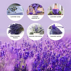 Dried Lavender Flower Bunch | Natural Home Fragrance Wedding Party Photography & DIY Flower Arrangements