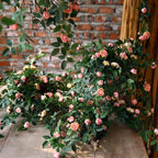 Artificial Rose Vine Garland | Hanging Floral Garland for Wedding Wall Home Decor Trellis Fence