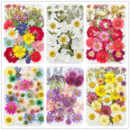 42pcs dried pressed flowers complete set for nail art and DIY projects