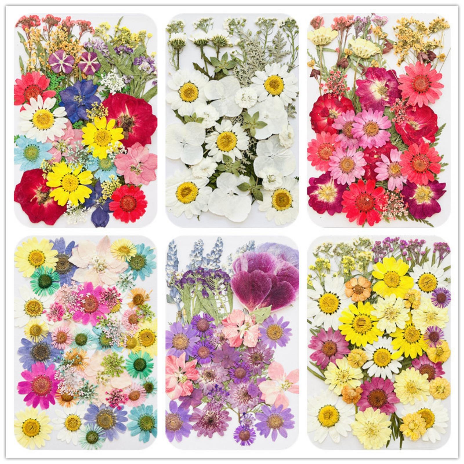 42pcs dried pressed flowers complete set for nail art and DIY projects