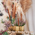 Dried Natural Brown Cattail Stems Bundle 10pcs | Real Bulrush for DIY Floral Wedding Rustic Boho Home Decor