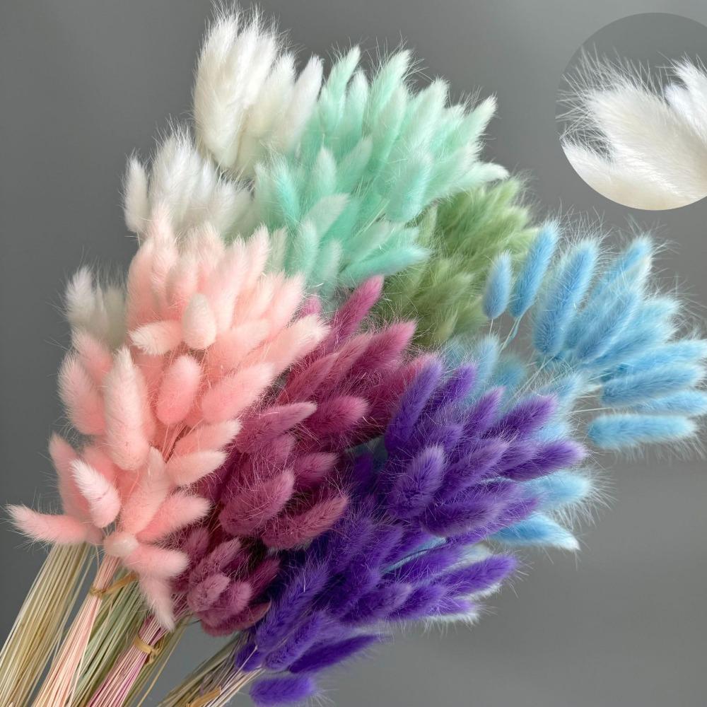 Faux Pampas Grass Set of 2 | Boho Home Decor Wedding Photography Props in White Pink Red Black Orange