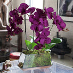 Velvet orchid flowers 6pcs 38 inch long stem styled for tall vase wedding by IPOPU