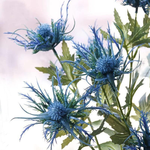 Artificial eryngium thistle flower stems close-up – realistic faux blue thistle