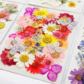 42pcs real dried pressed flowers set for resin jewelry nail art and DIY crafts