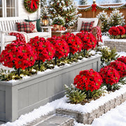 5-Piece Red Poinsettia Christmas Plant Stakes