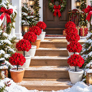 5-Piece Red Poinsettia Christmas Plant Stakes