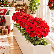 5-Piece Red Poinsettia Christmas Plant Stakes