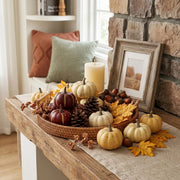 23-Piece Mini Fall Pumpkin & Pinecone Decor Set