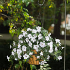 Artificial Hanging Flowers Plants with Basket for Outdoors, Artificial Petunias UV Resistant Petunias Fake Flowers for Outdoor Garden Porch Balcony Decoration