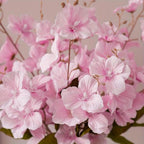 Side view of magnolia blossom stems set of 3 for silk faux flowers by IPOPU