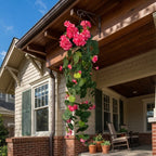 Morning Glory Hanging Flower Vine for modern wedding decor by IPOPU