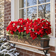 Artificial Poinsettia & White Flower Stems – 20 pcs