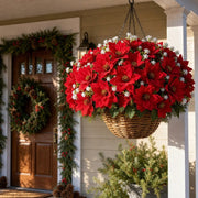 Artificial Poinsettia & White Flower Stems – 20 pcs