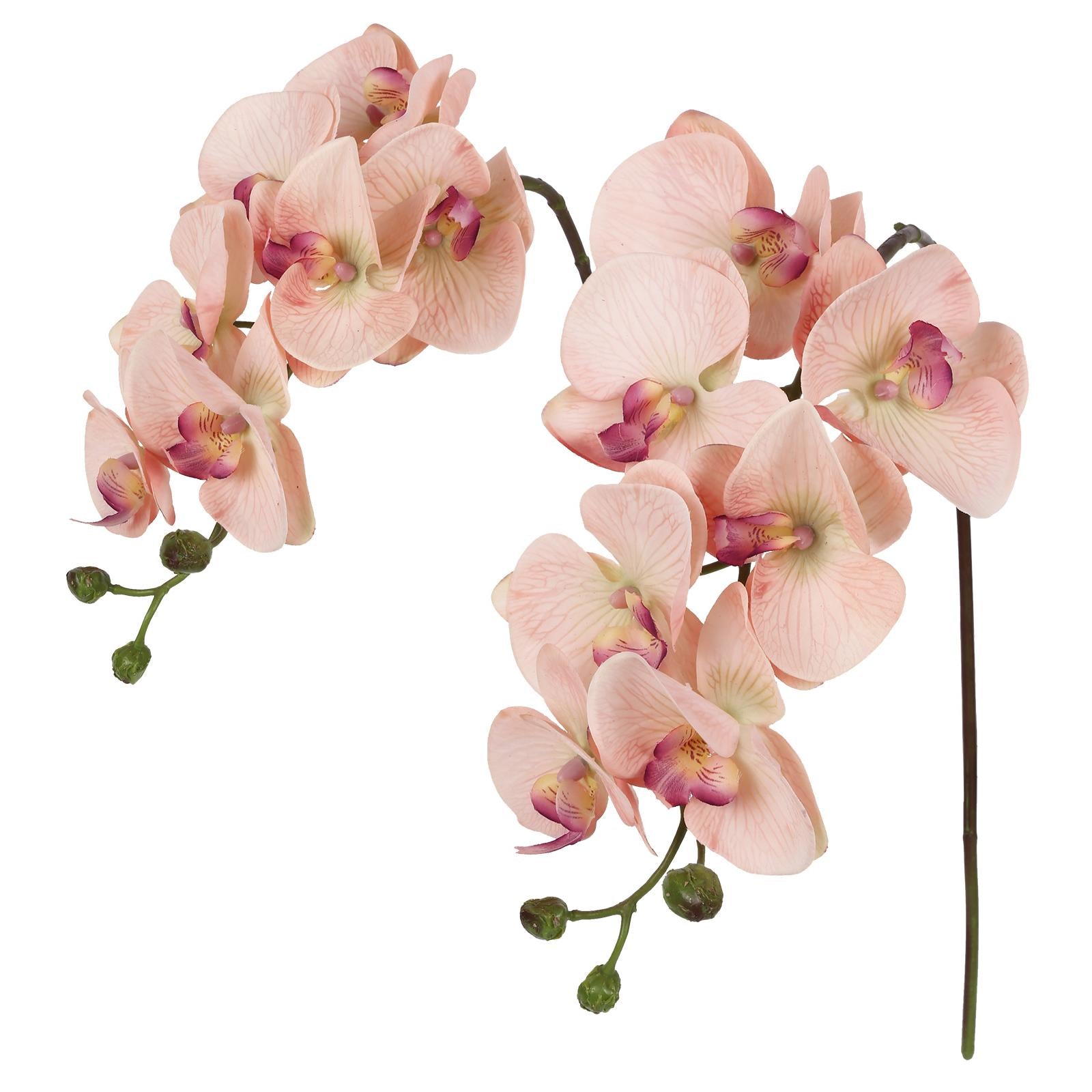 Champagne real touch phalaenopsis orchid branches 34 inch 2pcs for wedding home party bridal shower