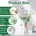Artificial Eucalyptus Stems in Glass Vase with Faux Water | Faux Greenery for Bathroom Desk Shelf Coffee Table Decor