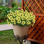Artificial Pansy Flowers Outdoor Spring Flowers Pansies Wildflower UV Resistant Plants Faux Impatiens for Window Box Wedding Party Outside Garden Porch Decor