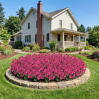 Artificial Pansy Flowers Outdoor Spring Flowers Pansies Wildflower UV Resistant Plants Faux Impatiens for Window Box Wedding Party Outside Garden Porch Decor