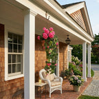 Side view of morning glory hanging flower vine for faux cascading plant by IPOPU