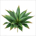 Green real touch artificial succulent and aloe greenery unpotted plant for home wedding and DIY floral arrangement
