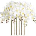 Ivory Velvet Orchid Flowers 6pcs 38 Inch Long Stem for tall vase wedding by IPOPU