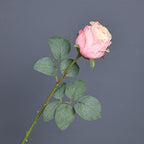 Light pink burnt edge real touch curl rose simulation flower for living room table decor