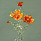 Orange artificial cosmos flower stems set of 3 for living room arrangement
