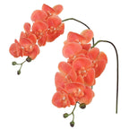 Orange real touch phalaenopsis orchid branches 34 inch 2pcs for wedding home party graduation decor