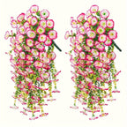 Pink Eucalyptus & Morning Glory Wall Hanging for home porch garden by IPOPU