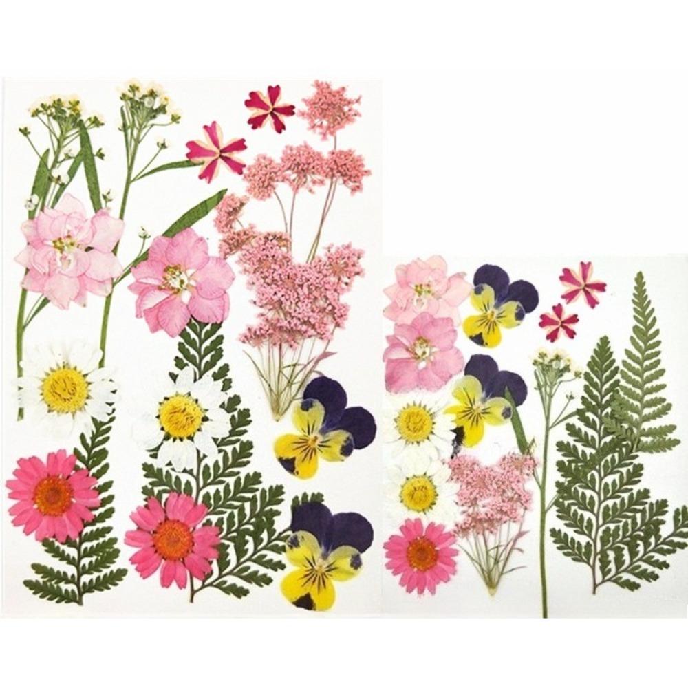 Pink real natural dried flowers dry leaves for resin molds epoxy jewelry candle soap DIY craft