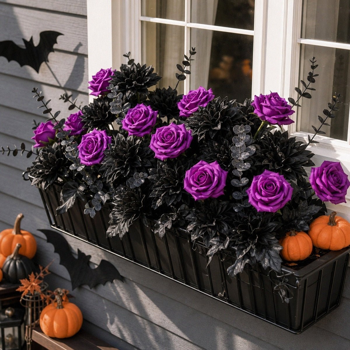Close-up of purple black rose Halloween window box arrangement with dark foliage – IPOPU
