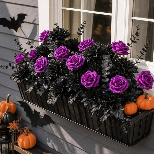 Close-up of purple black rose Halloween window box arrangement with dark foliage – IPOPU
