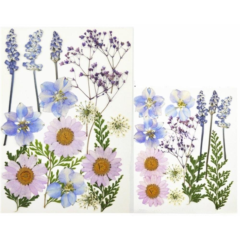 Purple real natural dried flowers dry leaves for resin molds epoxy jewelry candle soap DIY craft