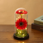 Red preserved sunflower glass dome lamp with warm LED lights
