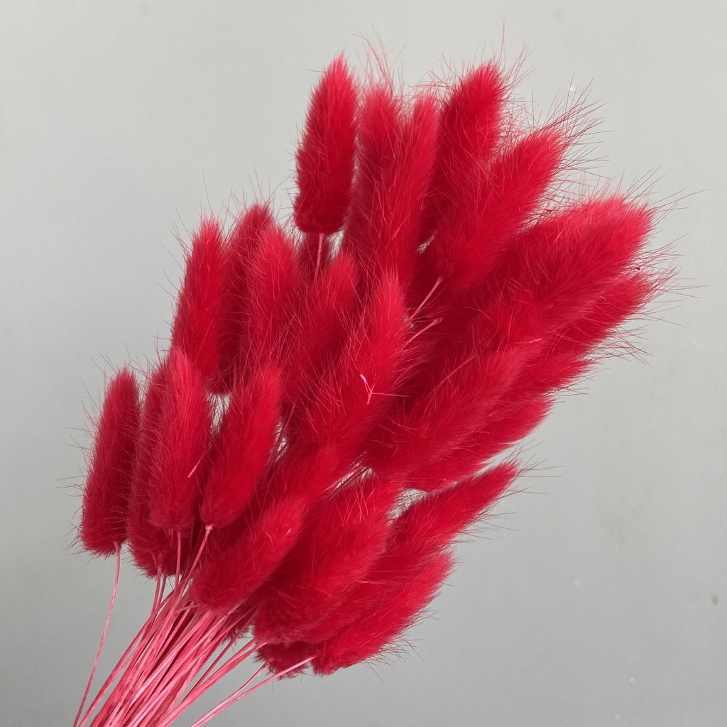 Red faux pampas grass set of 2 for home decor wedding and DIY craft projects
