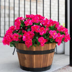 Rose red  artificial camellia plants set of 6 weather resistant for porch garden and entryway
