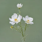 White artificial cosmos flower stems set of 3 for wedding centerpiece