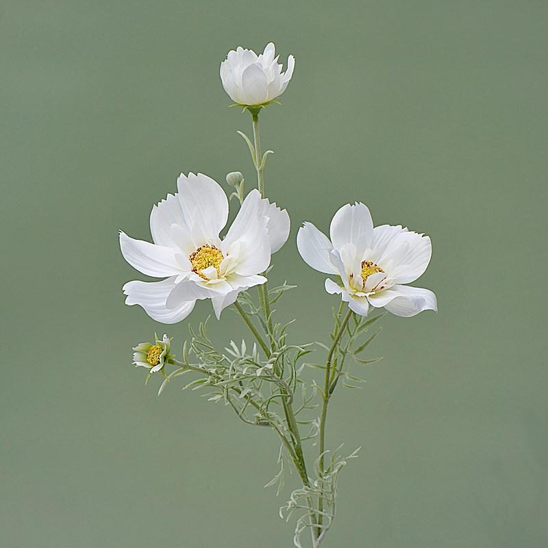 White artificial cosmos flower stems set of 3 for wedding centerpiece