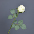 White burnt edge real touch curl rose simulation flower for living room dining table decor