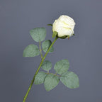 White burnt edge real touch curl rose simulation flower for living room dining table decor