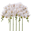 White glitter artificial phalaenopsis orchid stems 5pcs for wedding reception table centerpiece home decor